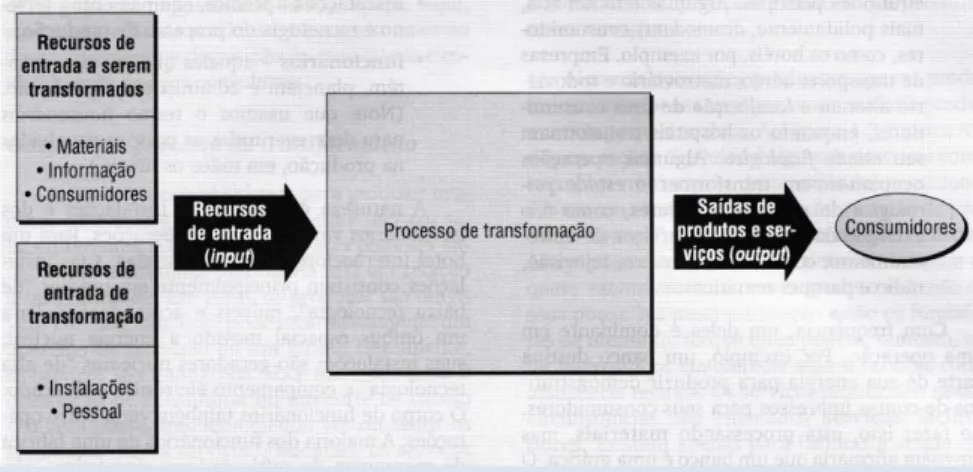 Figura 1 - Processos input  –  transformação  –  output 