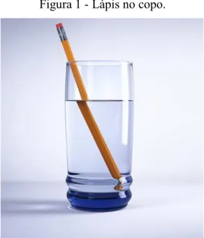 Figura 1 - Lápis no copo. 