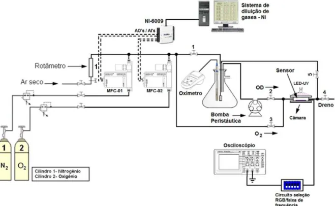Figura 35 -Diagrama esquemático do arranjo do sistema de controle de oxigênio dissolvido em  água deionizada para dispositivos TCS3200