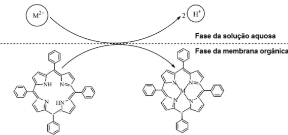 Figura 2 -Esquema da reação química da H2tpp com íon metálico de Hg 2+  (CHAN; YANG; 