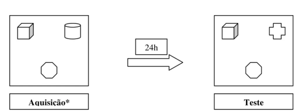 Figura 3: Esquema do Procedimento 1 (Experimento 2). *A fase de aquisição consiste em cinco  exposições de cinco minutos cada com 15 minutos de intervalo entre as exposições