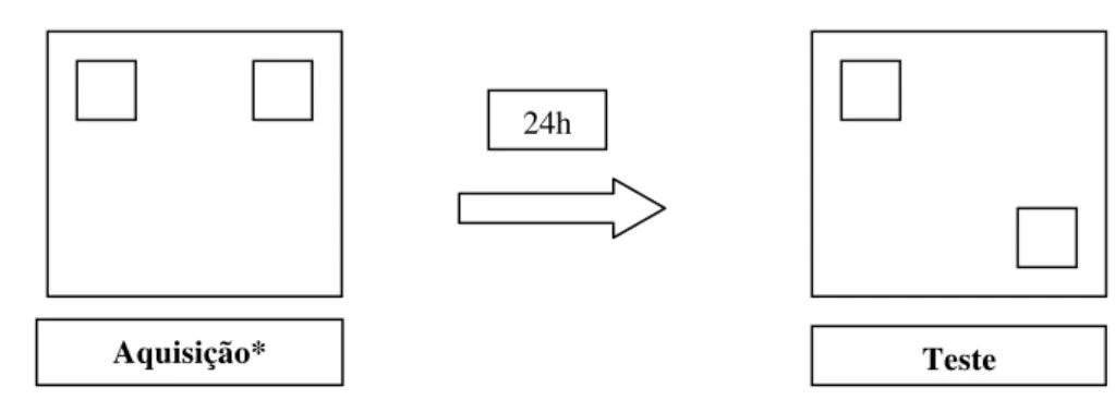 Figura 5: Esquema do Procedimento 2 (Experimento 2). * A fase de aquisição consiste em cinco  exposições de cinco minutos cada com 15 minutos de intervalo entre as exposições