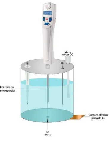 Figura 3. Esquema de uma célula BIA adaptada para o uso do eletrodo de BDD.  