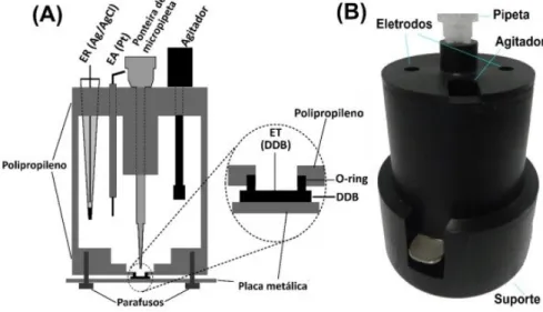 Figura 6. (A) Esquema da célula BIA utilizada no trabalho; (B) Imagem da célula BIA. 