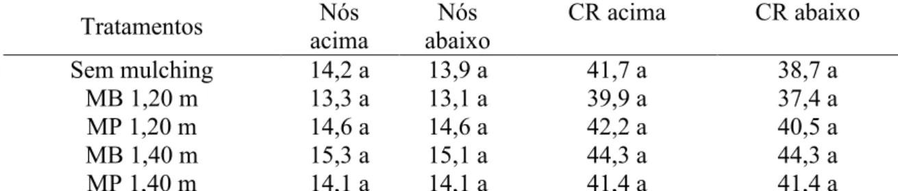 Tabela  6.  Média  da  quantidade  de  nós  por  ramo  (acima  e  abaixo),  comprimento  de  ramos  plagiotrópicos  (CR)  acima  e  abaixo  (cm)  em  cafeeiros  em  função  do  uso  do  mulching na região de Monte Carmelo, Minas Gerais 