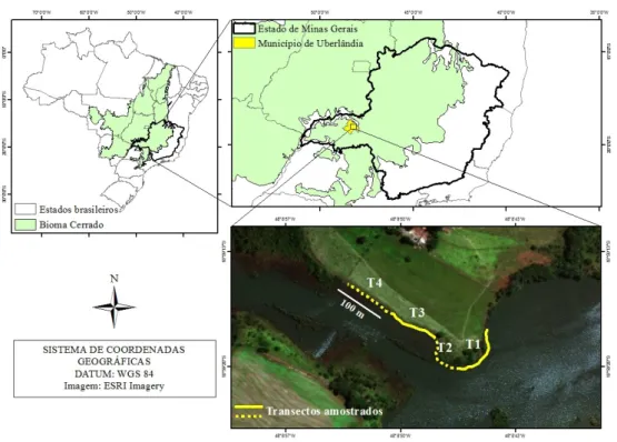 FIGURA 1:  Mapa da área de estudo, mostrando os trechos de coleta e o curso d’água do Rio  Uberabinha, Uberlândia, MG