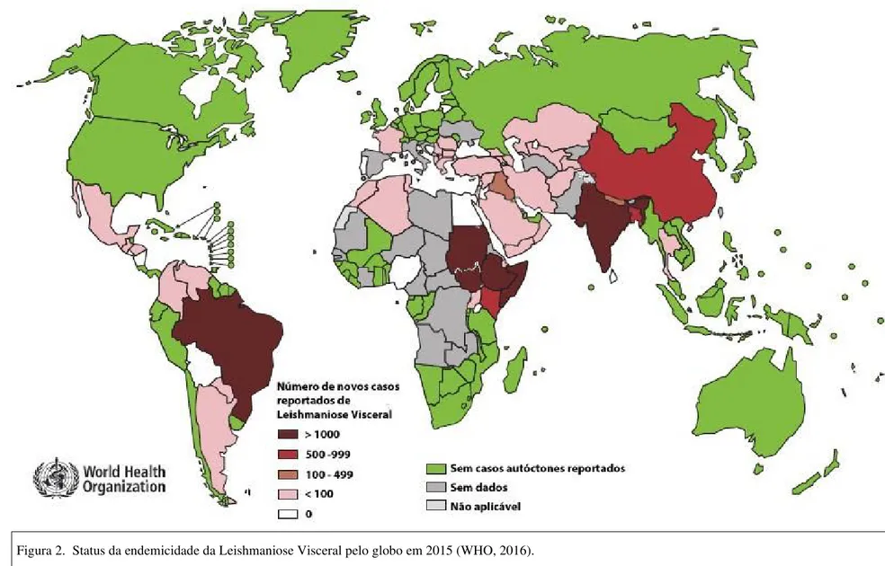 Figura 2.  Status da endemicidade da Leishmaniose Visceral pelo globo em 2015 (WHO, 2016)