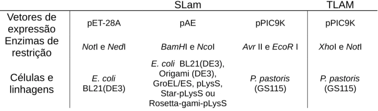 Tabela   2.   Vetores   de   expressão,   enzimas   de   restrição   e   linhagens   de   bactérias   e   levedura  correspondentes utilizadas para expressão de SLam e TLAM recombinantes