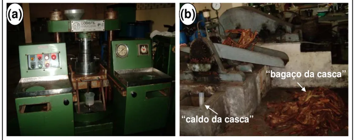 Figura 9 - Equipamentos para a extração do caldo da casca de eucalipto; (a) prensa; (b) moenda 