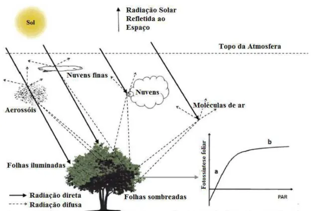 Figura  1.1.8.  Diagrama  esquemático  da  interação  da  radiação  solar  com  os  componentes  atmosféricos  (aerossóis,  nuvens  e  moléculas  de  ar)  e  a  penetração  da  radiação  direta  (linha  contínua) e difusa (linha tracejada)
