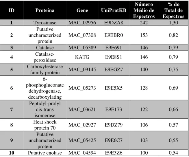 Tabela 2 – Dez proteínas mais abundantes em conídios de M. acridum identificadas por LC-MS/MS 