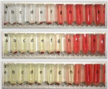 Figure 2. Osmotic fragility test results: A  –  control; B  –  with Fundão propolis; C  –  with  Bornes propolis