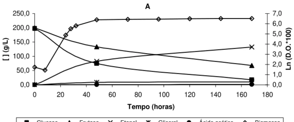 Figura 7. Comportamento das estirpes 5 (A), 6 (B) e 7 (C) em meio de cultura YPD suplementado com  20% (p/v) de glucose e 20% (p/v) de frutose