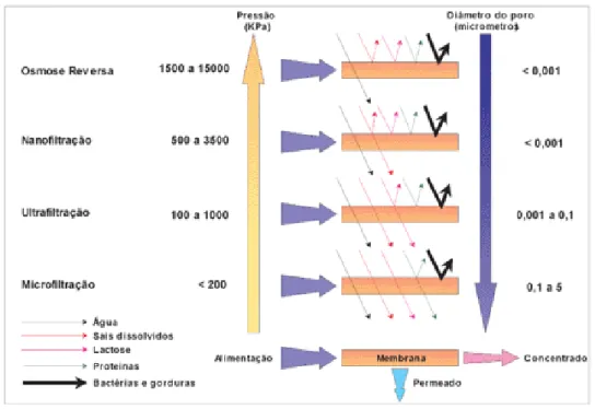 Figura 10. Classificação dos processos de separação com membranas pelo tamanho do poro  da membrana (MIERZWA et al., 2008)