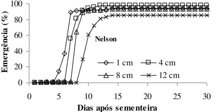 Figura  12.  Variação  da  percentagem  de  emergência  ao  longo  do  tempo  da  cultivar  Nelson em função da profundidade de sementeira