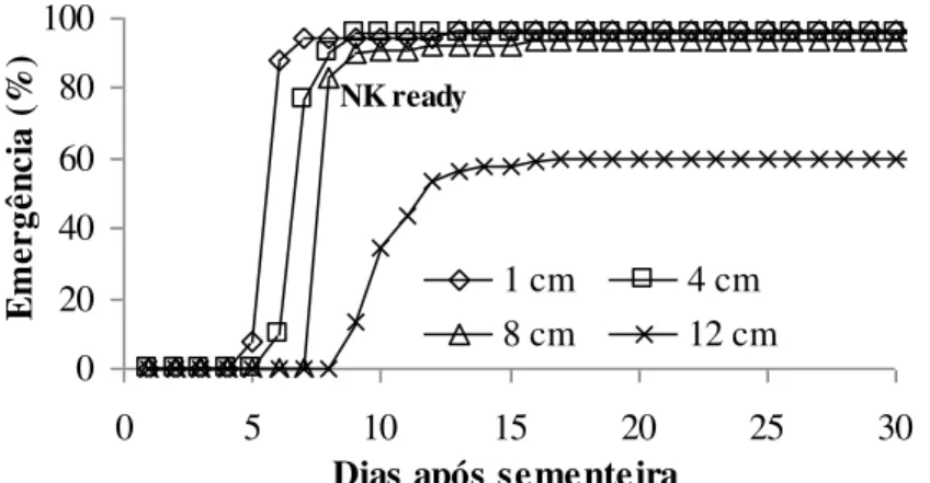 Figura 13. Variação da percentagem de emergência ao longo do tempo da cultivar NK  Ready em função da profundidade de sementeira