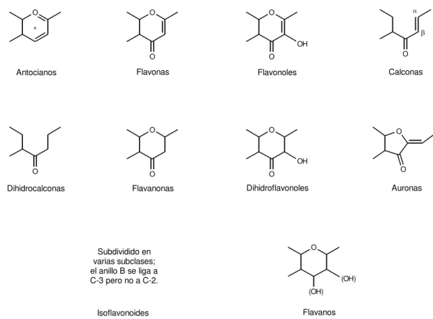 Figura I.1 – Principales clases de flavonoides y respectiva estructura básica del anillo C