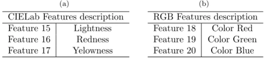 Table 3: Representation of CIELab features (a) and RGB features (b) with their respective numbers and description