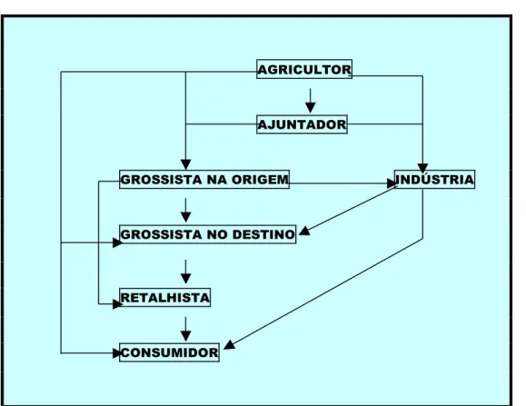 Figura II.4: Circuito Genérico de Comercialização de Produtos Agrários. 