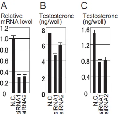 Figura 6 -   Efeito dos siRNA na produção de testosterona nas células de  tumor de células de Leydig (MLT)