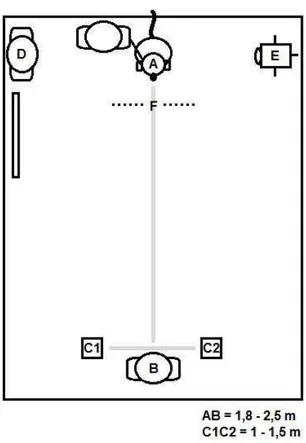 Figura  1  – O  ambiente  experimental  com  as  posições  iniciais  (A)  do  cão;  (B)  do  experimentador;  (C1,  C2)  das  caixas;  (D,  E)  do  experimentador  auxiliar  e  da  câmera;  (F)  do  anteparo, durante os intervalos de retenção