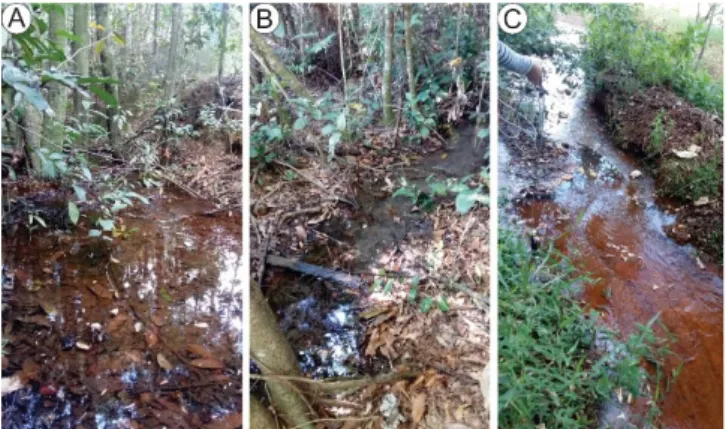 Tabela  1.  Métricas  biológicas  que  foram  utilizadas  para  avaliação  da  qualidade  de  macroinvertebrados  bentônicos no Parque do Sabiá