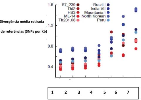 Figura  6-  Resultados  da  diversidade  de  SNPs  dentre  as  espécies  de  Plasmodium