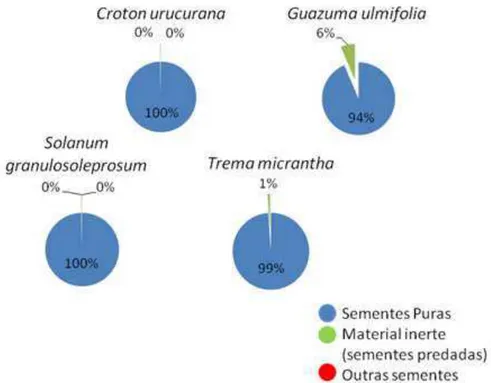 Figura 8 - Resultado do teste de pureza em porcentagem para amostra de lotes de sementes de C