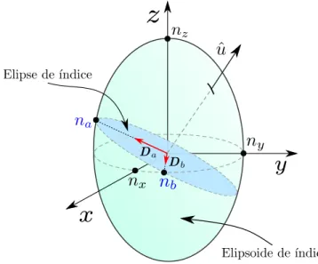 Figura 3.2: Determinação dos modos normais a partir da elipsoide de índice.