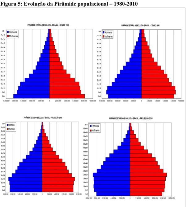 Figura 5: Evolução da Pirâmide populacional  –  1980-2010 