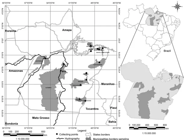 Figura 4 - Localização das áreas de  amostragem de solo no Estado do Pará 