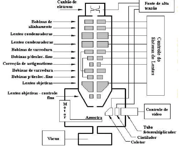 Figura 3-1 - Ilustração de um microscópio eletrônico de varredura com componentes existentes