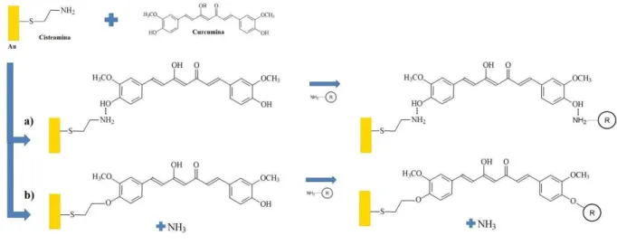 Figura  9  -  Possível  mecanismo  da  imobilização  de  curcumina  à  plataformas  de  ouro  e  de  sua  interação com agentes biosseletivos