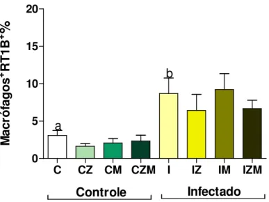Figura  9:  Quantificação  de  macrófagos,  expressando  o  marcador  RT1B  (MHC  Classe  II),  obtidos  a  partir  do  lavado  peritoneal  de  ratos  Wistar  machos  não  infectados  e  infectados  com 1x10 5  formas tripomastigotas sanguícolas da cepa Y 