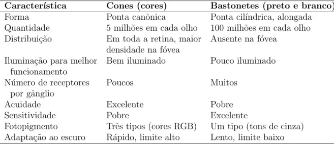 Tabela 3.1: Compara¸c˜oes de cones e bastonetes.
