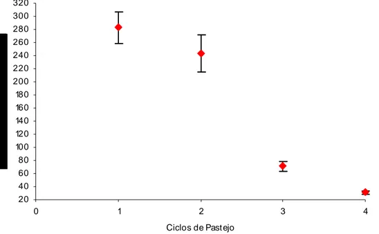 Figura 12: Teores médios de amido (mg/kg) de Brachiaria brizantha em função do ciclo de  pastejo