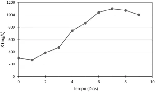 Figura 8. Concentração celular (X) em função do tempo para o experimento 6 (processo  descontínuo alimentado utilizando 2mM de nitrato de sódio)