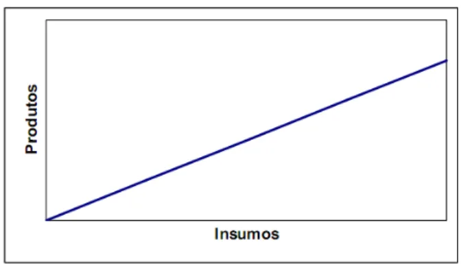 Figura 3.2 apresenta um exemplo de retorno não mais crescente de escala, mas  sim constante, quando há acréscimos no consumo de recursos os quais acarretam em um  aumento mais que proporcional na quantidade de produtos obtidos