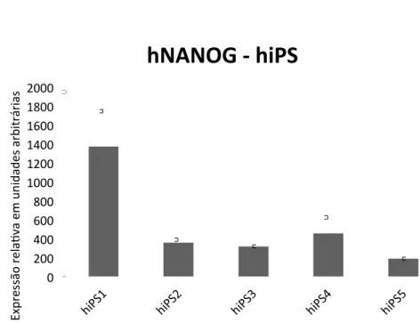 Figura  10:  Expressão  de  NANOG  em  linhagens  hiPS  quando  comparadas  à  hAdMSC  não  modificada, em unidades arbitrárias. 