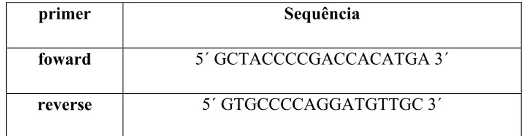 Figura 4: Seqüência dos primers utilizados para a amplificação de uma região de 200pb do  gene eGFP  etapa T o C tempo  1  94 o C 2  min  2  94 o C 30  seg  3  60 o C 45  seg  4  70 o C 45  seg  5  72 o C 1  min 