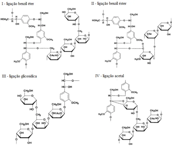Figura 5. Estruturas  propostas  para as diferentes ligações entre lignina e carboidratos  (adaptado: WATANABE, 2003)