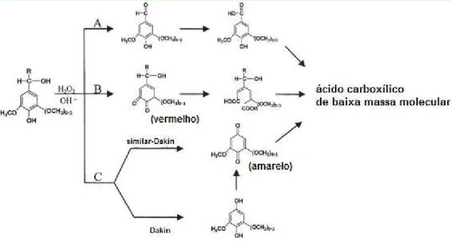 Figura 6. Sequência de reações de degradação de lignina em meio alcalino (XIANG; LEE,  2000)