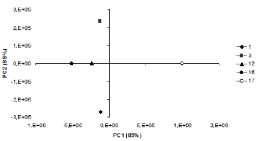 Figura 15. Análise dos componentes principais do espectro de FT-IR da hemicelulose obtida  com H 2 O 2  em meio alcalino (Os números 1, 3, 12, 16 e 17 são referentes aos experimentos do  planejamento completo 2 4 )