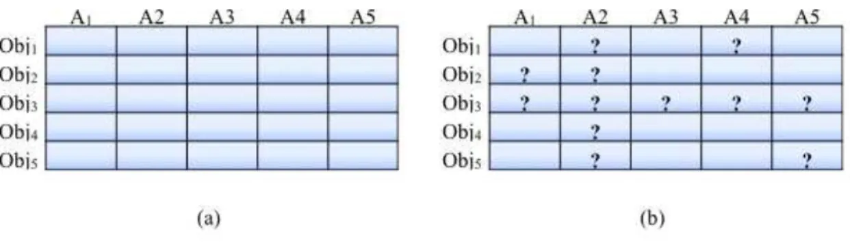 Figure 13 – (a) All attribute values are observed for all the objects. (b) Some attribute values are missing for all the objects.