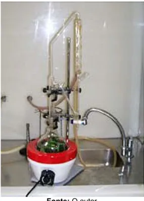 Figura 17. Foto ilustrativa do aparelho de Clevenger utilizado para hidrodestilação. 