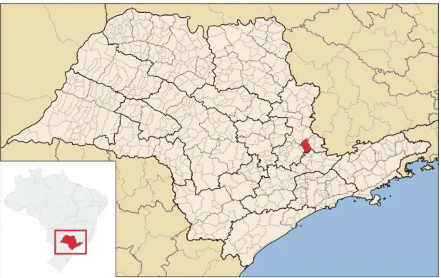 Figura 10 - Mapa do Estado de São Paulo  –  destaque Amparo-SP. 
