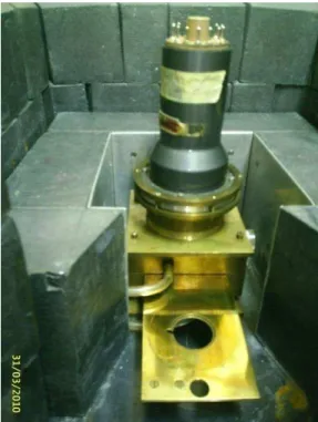 Figura 2.3 Detector NaI(Tl) e lingueta onde é colocada a fonte radioativa. 