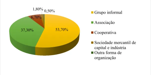 Gráfico 3 - Formas de organização dos EES-MG. 