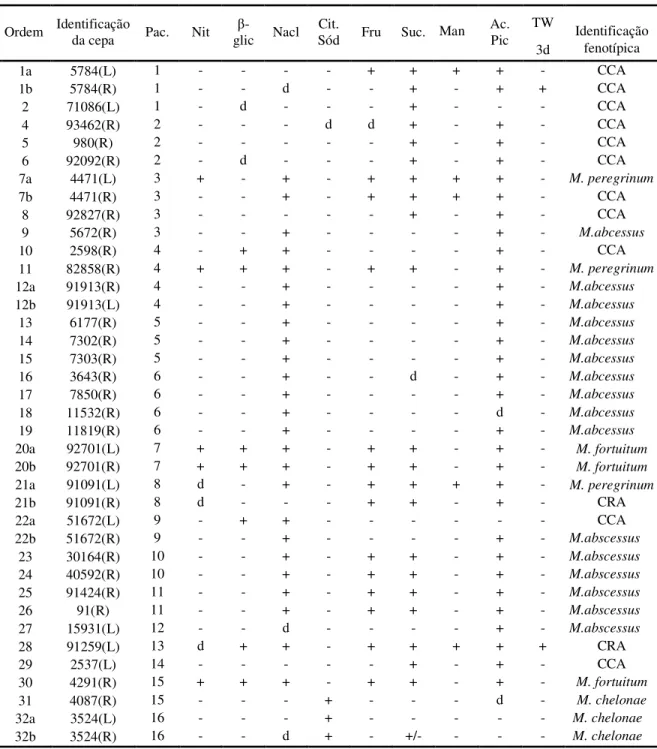 Tabela 2. Resultados das provas bioquímicas e dos testes de crescimento em meios  com NaCl, Citrato de sódio, ácido pícrico e carboidratos, dos isolados dos complexos  M