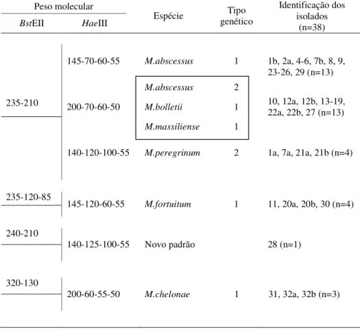 Tabela 3 – Identificação dos 38 isolados incluídos no estudo, após digestão do fragmento  de amplificação do gene hsp65 pelas enzimas de restrição BstEII e HaeIII 